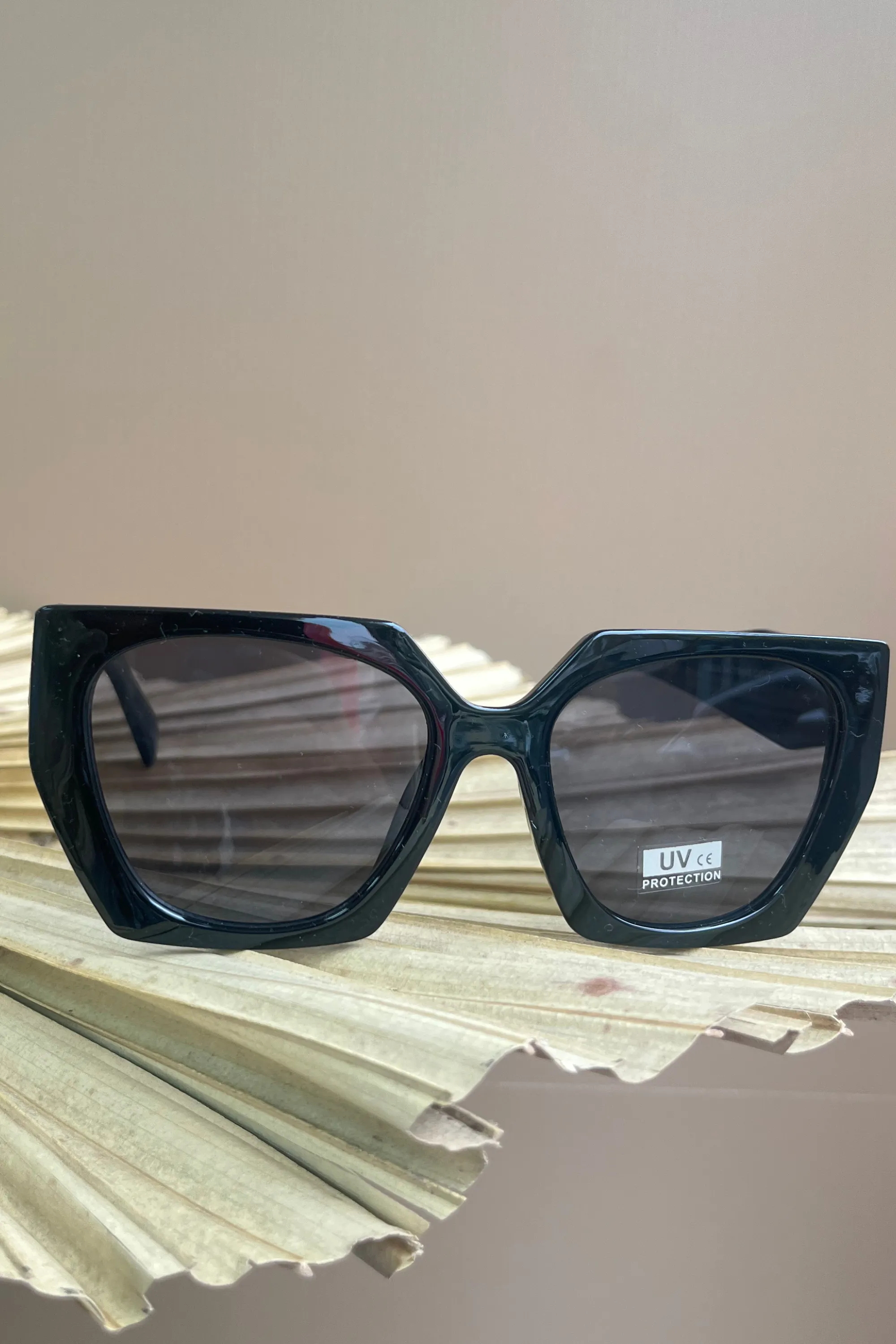 Big frame square sunglasses