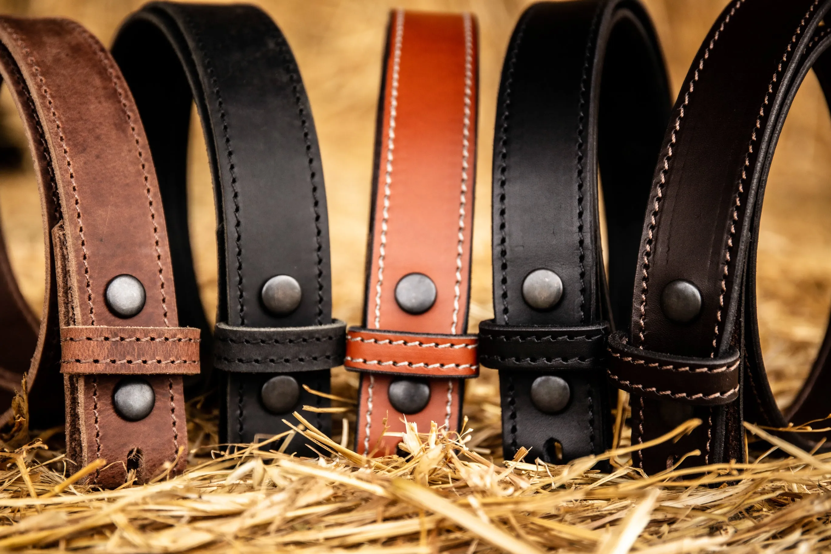 Camfield Belt