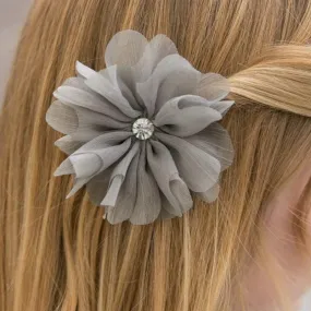 Glisten to Reason Silver Hair Clip and Pin