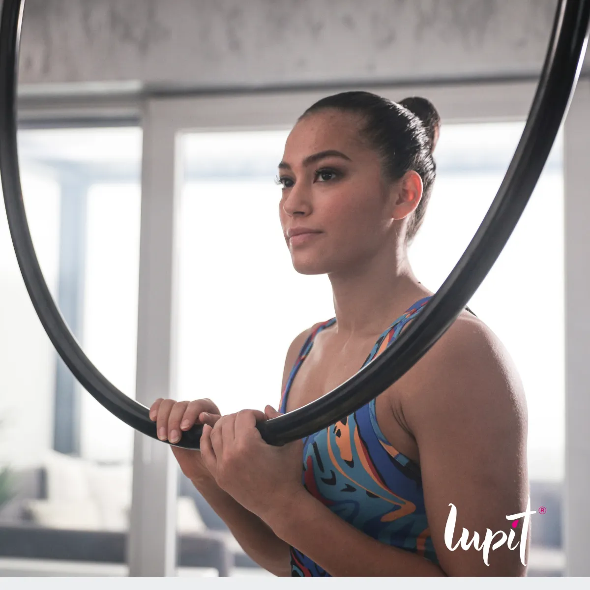 Lupit Aerial Accessoires | Hoop/Lyra Classic Rigging Mount